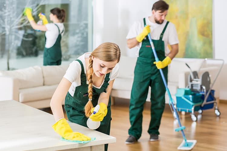 Deep Cleaning